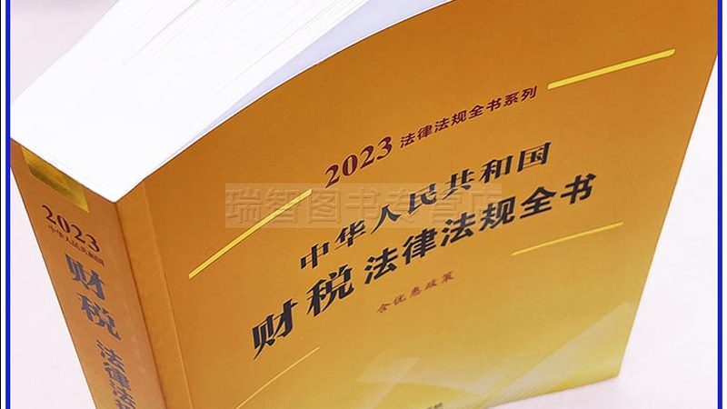 个人公司注册条件：最新规定与实操要点**